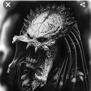 Meet your Posher, Garland